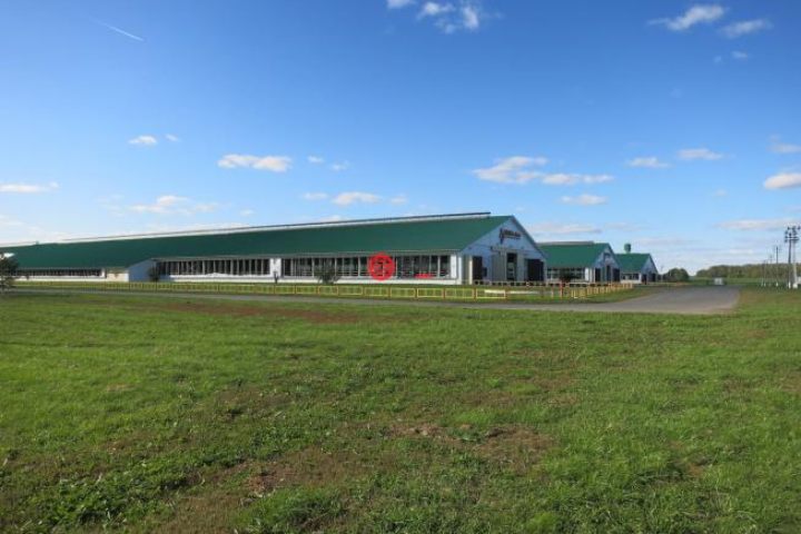 俄罗斯总占地70470000平方米的农场