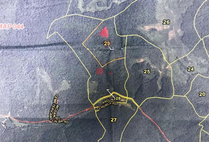 肯塔基gdp_肯塔基蓝草图片(2)