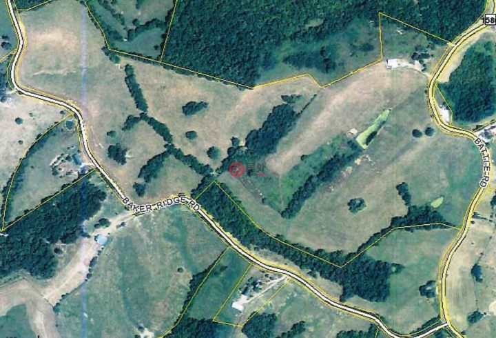 肯塔基gdp_肯塔基蓝草图片